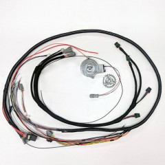 CAS & Expansion Coil/Ignition Harness Kit | 4 Cyl | PiMPx | PiMPxs 