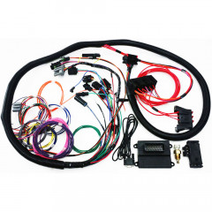 Microsquirt Plug & Play Standalone Harness Only | 2.3L Ford