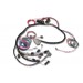 PiMPxs ECU Wiring Harness for Ford V8 Engines (Sequential EFI)