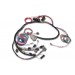 PiMPxs ECU Wiring Harness for Ford 2.3 Engines (Sequential EFI)