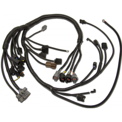 thumbnail interactive-video image 1 of Ford 5.0 EFI Wiring Harness 1989-1993 Mustang/Bronco - The Detail Zone 1 of 5