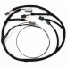 Coil Near Plug Expansion Harness | For LS Coils or IGN-1A Coils | 4 Cyl | PiMPx | PiMPxs