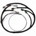 Coil Near Plug Expansion Sub-Harness for IGN-1A Coils | PiMPx | PiMPxs | PiMPxshift 