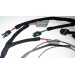 Coil Near Plug Expansion Sub-Harness for IGN-1A Coils | PiMPx | PiMPxs | PiMPxshift 