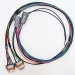 Coil Near Plug Expansion Harness | For LS Coils or IGN-1A Coils | V8 | PiMPx | PiMPxs | PiMPxshift 